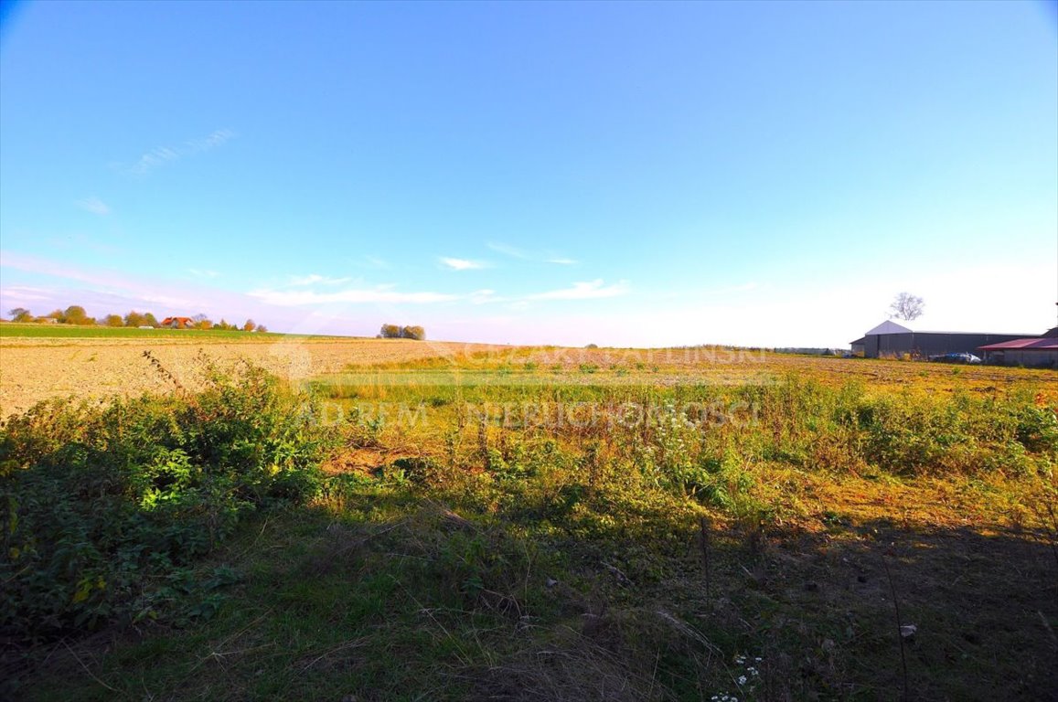 Lokal użytkowy na sprzedaż Lipno, Lipno  8 186m2 Foto 4