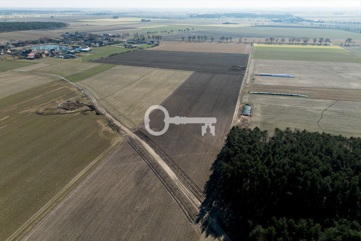 Duża działka inwestycyjna 2,81 ha w Strzępińiu, szybki dojazd Strzępiń  28 100m2 Foto 1