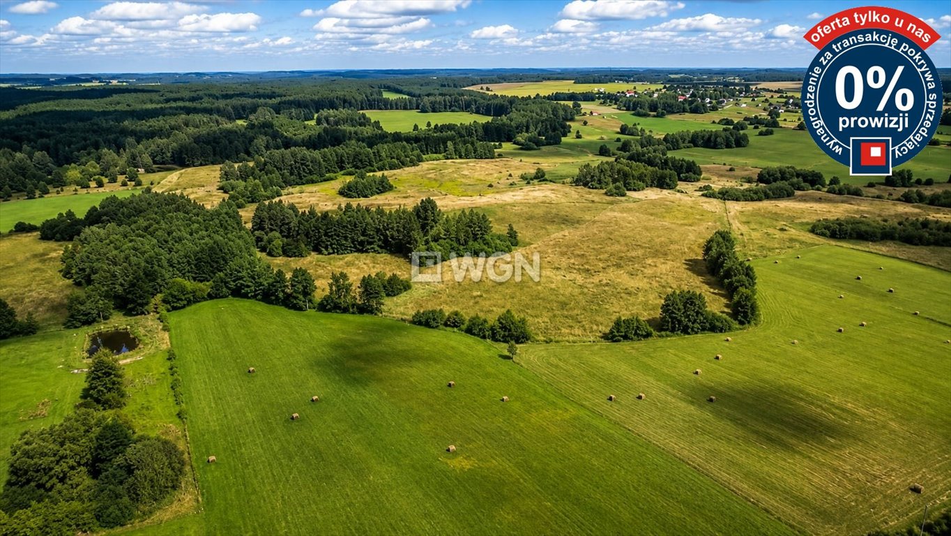 Działki przy lesie 3100 m² w Przykopce - polecam Przykopka  3 100m2 Foto 1