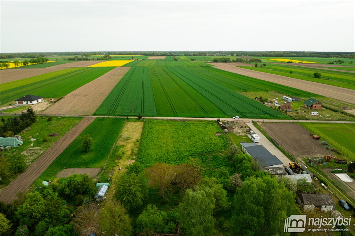 Działka budowlana na sprzedaż Przemocze  1 308m2 Foto 5