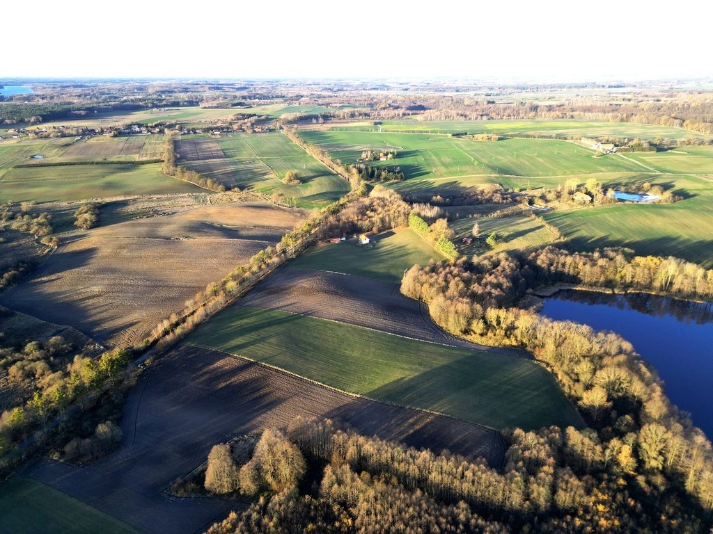 Działka rolna na sprzedaż Wielowieś  24 300m2 Foto 5