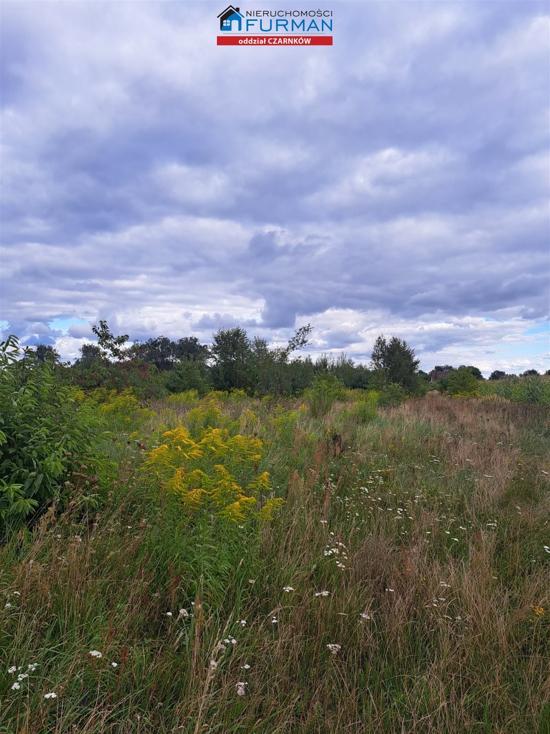 Działka usługowa 3632 m² w Ługi Ujskie – inwestuj! Ługi Ujskie  3 632m2 Foto 1