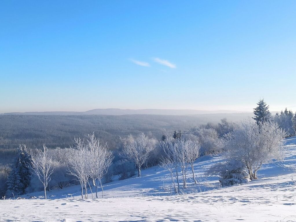 Działka budowlana na sprzedaż Duszniki-Zdrój, Zieleniec, Zieleniec  4 300m2 Foto 1