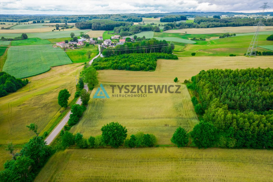 Działka budowlana na sprzedaż Dąbrówka  7 800m2 Foto 7