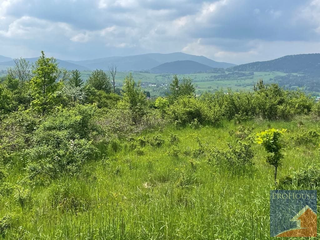 Działka budowlana na sprzedaż Zamieście  4 800m2 Foto 4