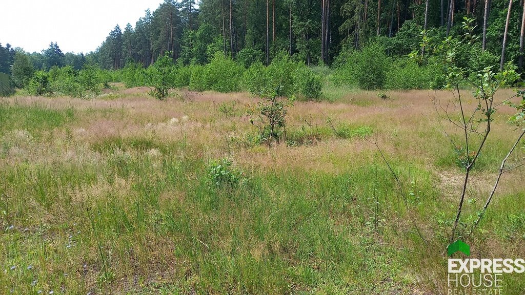 Działka budowlana na sprzedaż Niewodnica Korycka  826m2 Foto 2