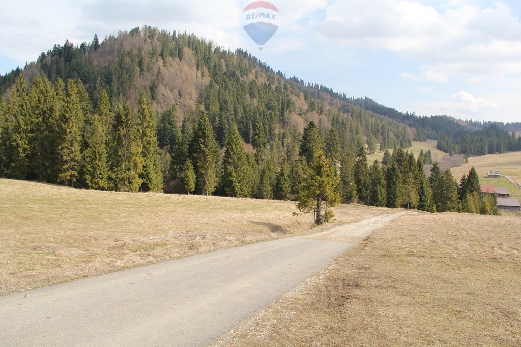 Działka rolna na sprzedaż Dursztyn  13 176m2 Foto 14