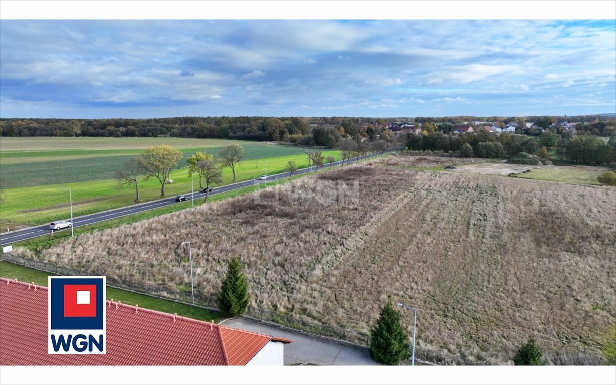 Działka inwestycyjna na sprzedaż Kruszyn, Główna  10 000m2 Foto 9