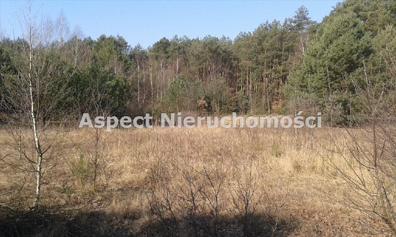 Działka inna na sprzedaż Sędeń Duży 2 600m2 Foto 1 Działka inna na sprzedaż Sędeń Duży 2 600m2 Foto 1
