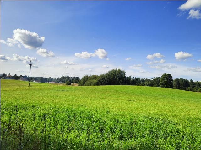 Działka rolna na sprzedaż Wołowno  9 900m2 Foto 1