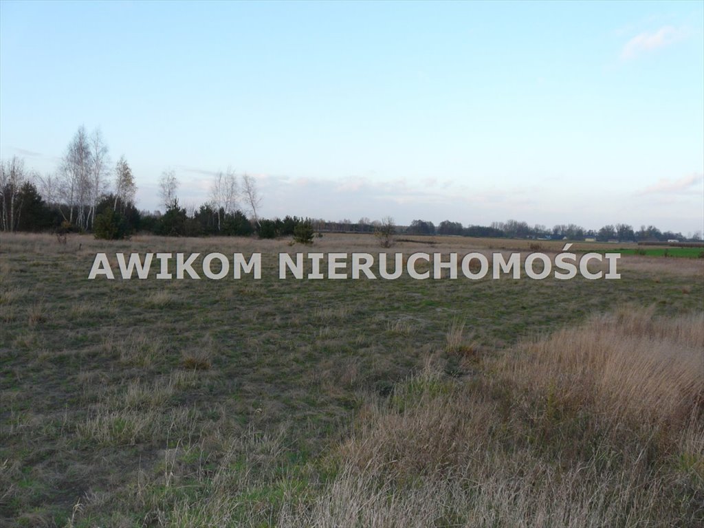 Działka rolna na sprzedaż Skierniewice, Sierakowice Lewe  11 173m2 Foto 2