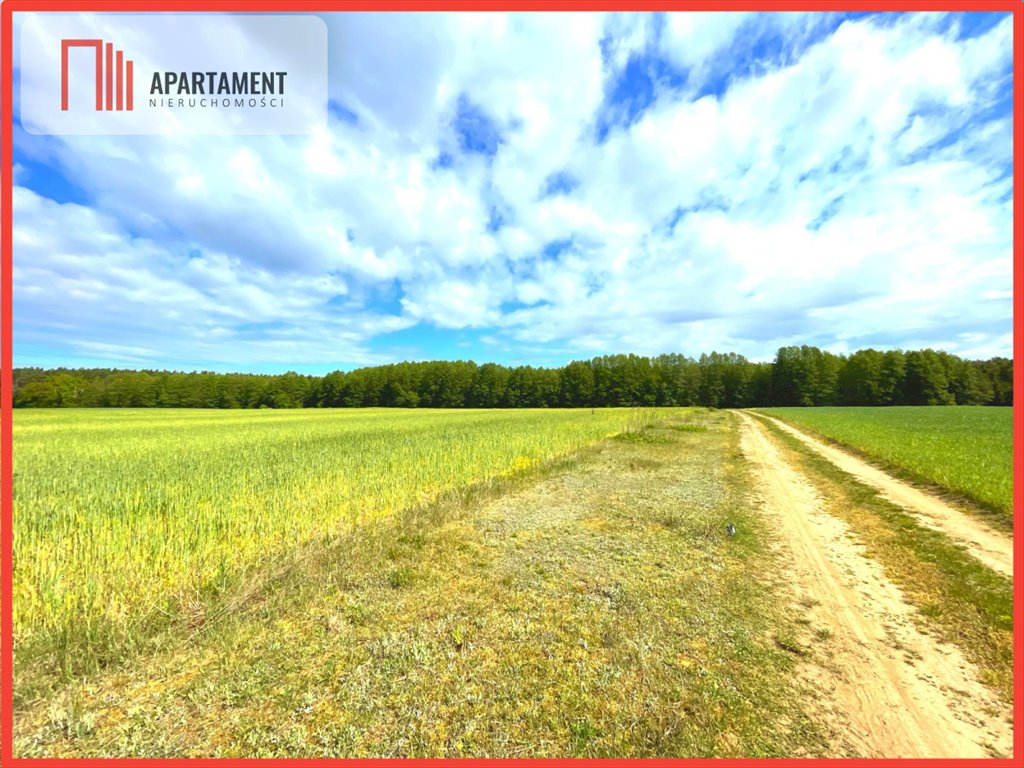 Działka inwestycyjna 36 800 m² z WZ Nekla - polecam! Nekla  36 800m2 Foto 1