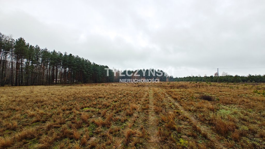 Działka budowlana na sprzedaż Krzyżówka  1 020m2 Foto 3