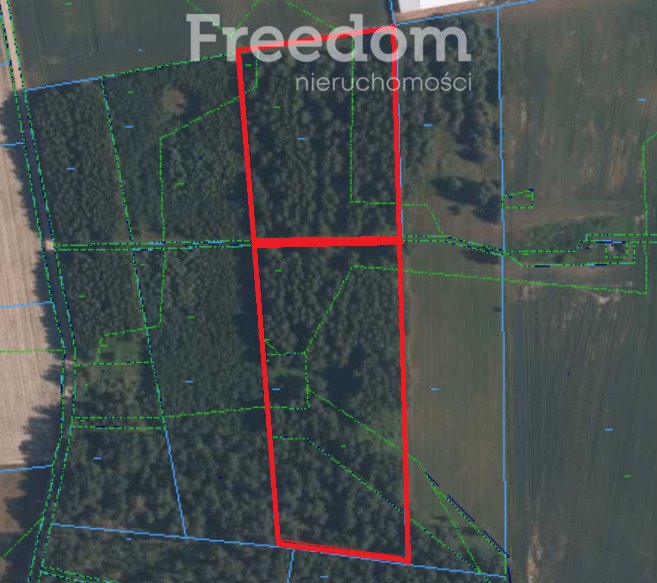 Działka inna na sprzedaż Dąbrówka-Niwka  20 000m2 Foto 1