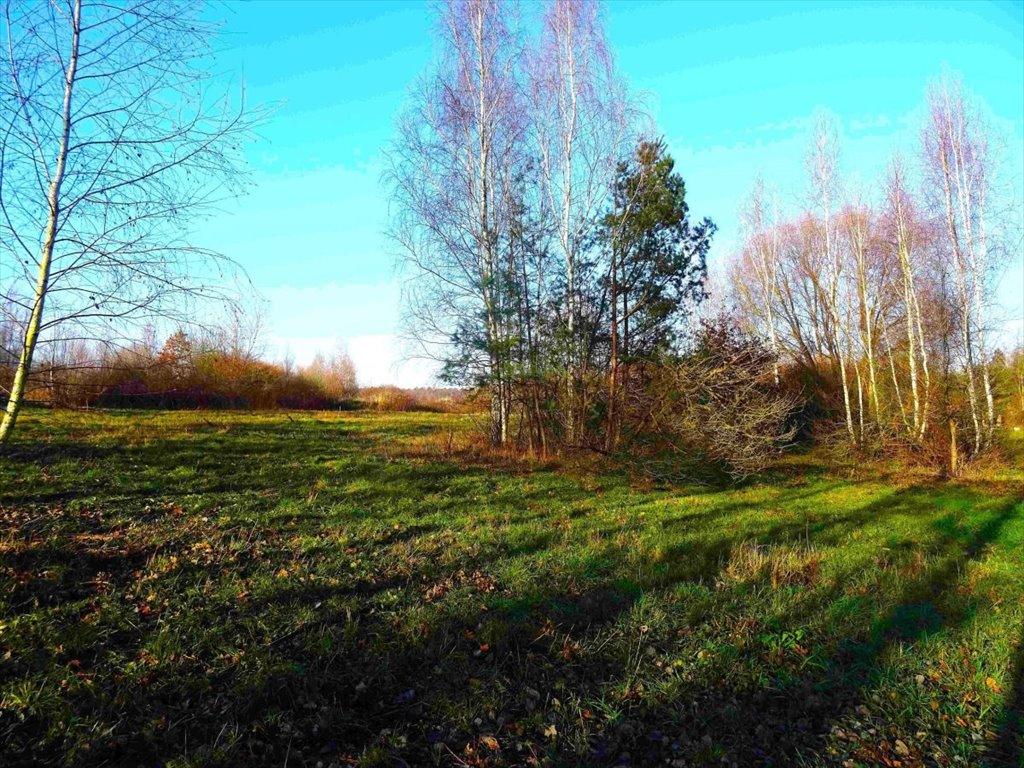 Działka budowlana na sprzedaż Poznań, Stare Miasto, Naramowice, Diamentowa  2 999m2 Foto 4