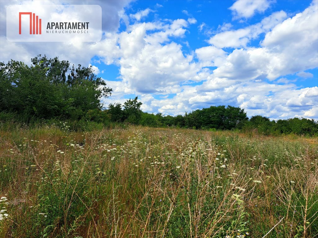 Działka budowlana na sprzedaż Wielowieś  3 001m2 Foto 3