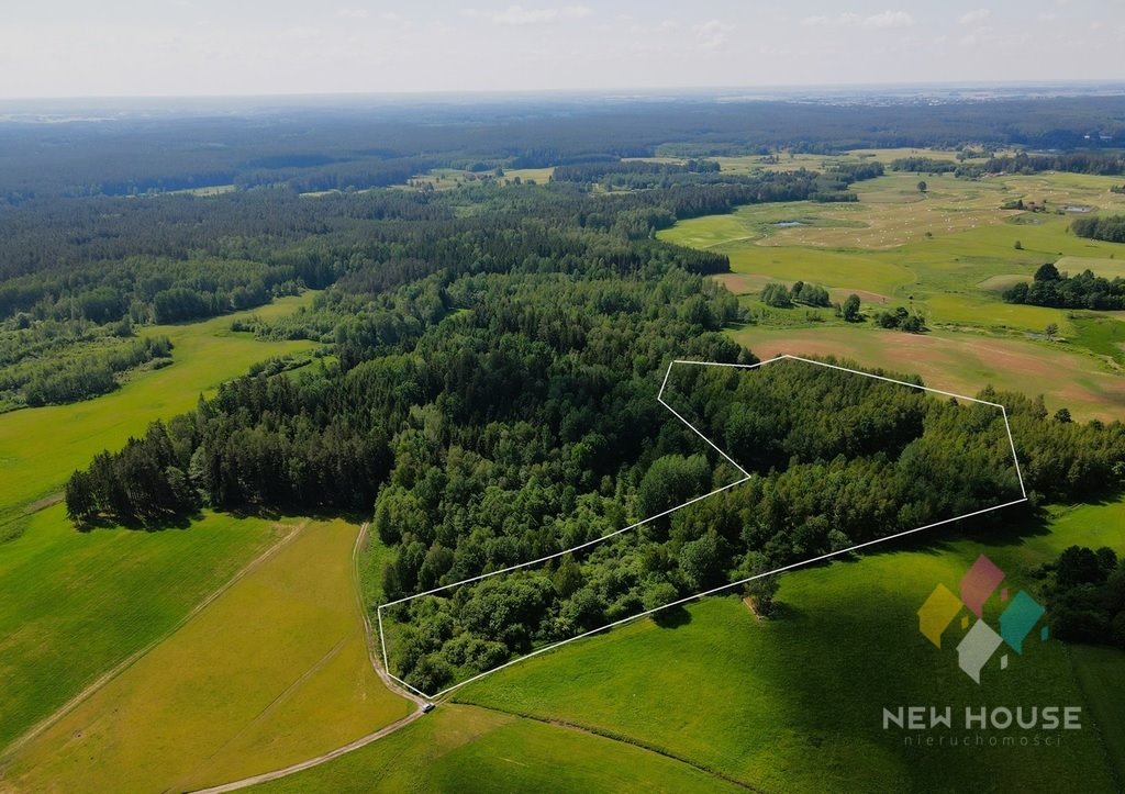 Działka siedliskowa na sprzedaż Próle  38 100m2 Foto 6