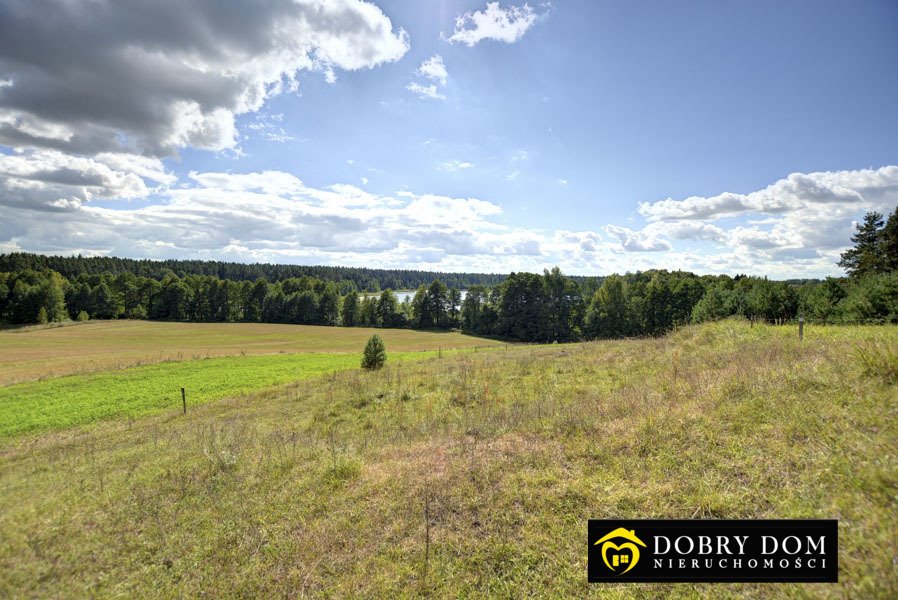 Działka rolna na sprzedaż Stara Kamionka  3 000m2 Foto 14