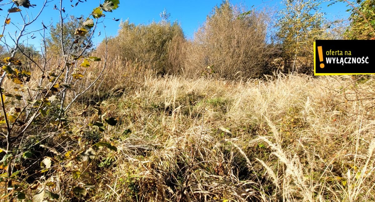 Działka rolna na sprzedaż Kielce, Księdza Piotra Ściegiennego  1 000m2 Foto 4