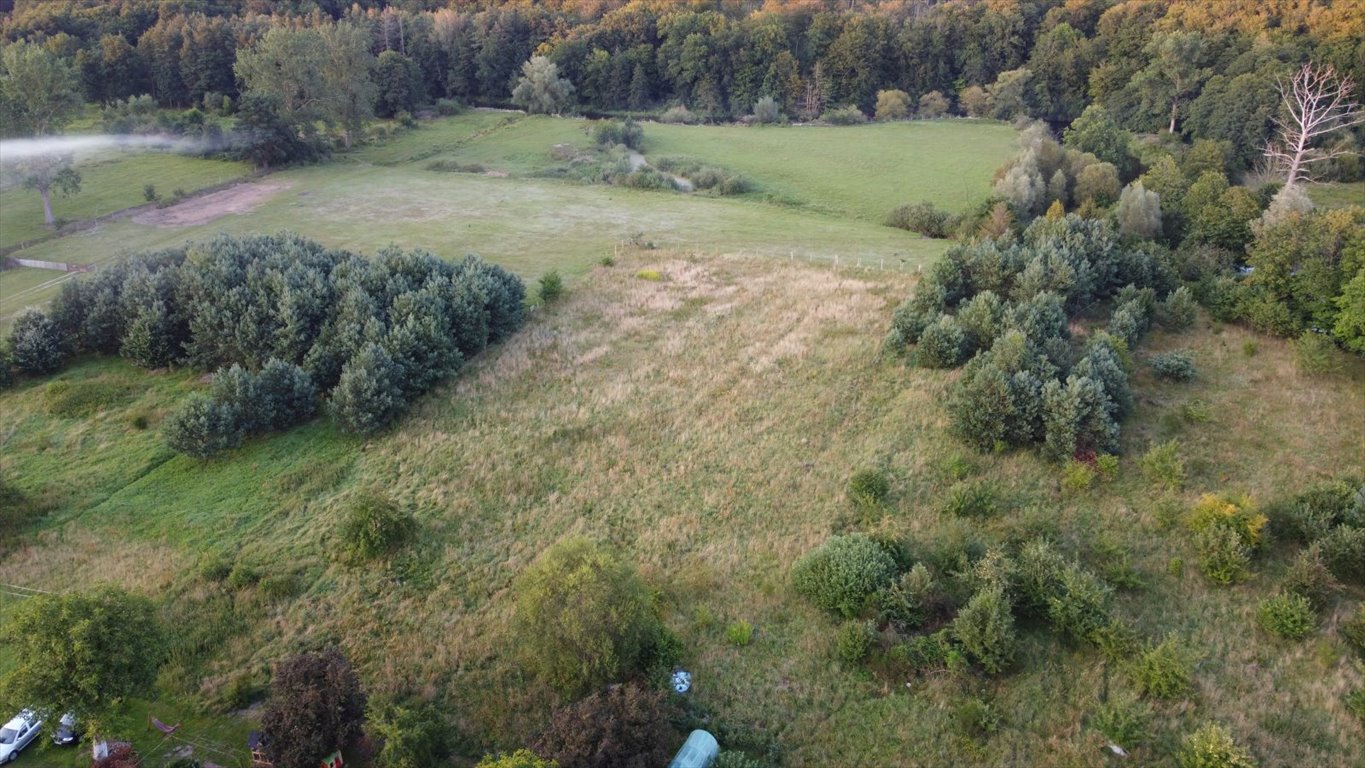 Działka budowlana na sprzedaż Charnowo  4 500m2 Foto 3