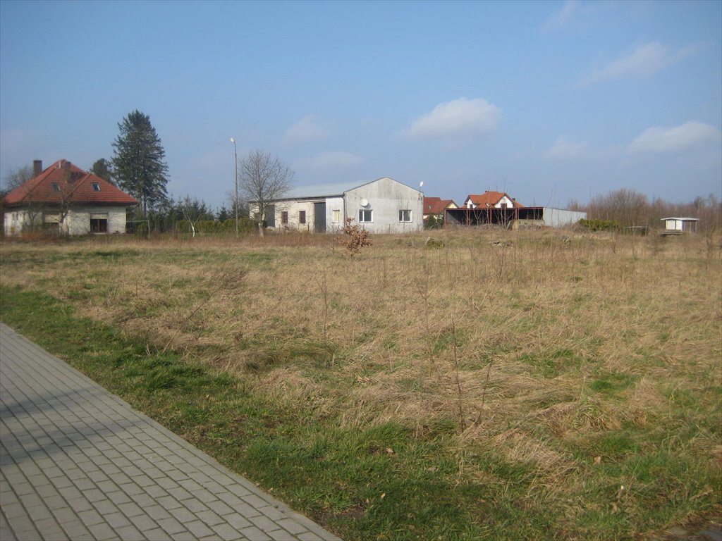 Działka budowlana na sprzedaż Głobino, Pogodna  13 800m2 Foto 13