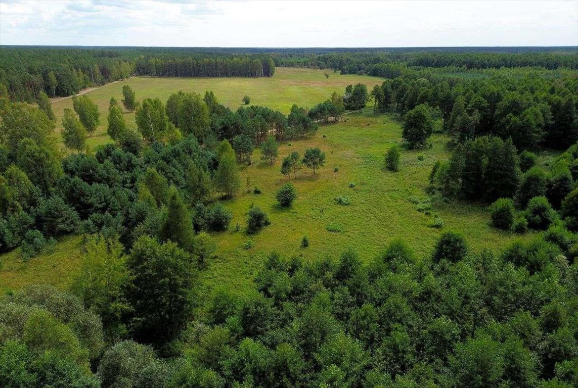 Działka rolna na sprzedaż Rekownica  3 002m2 Foto 6