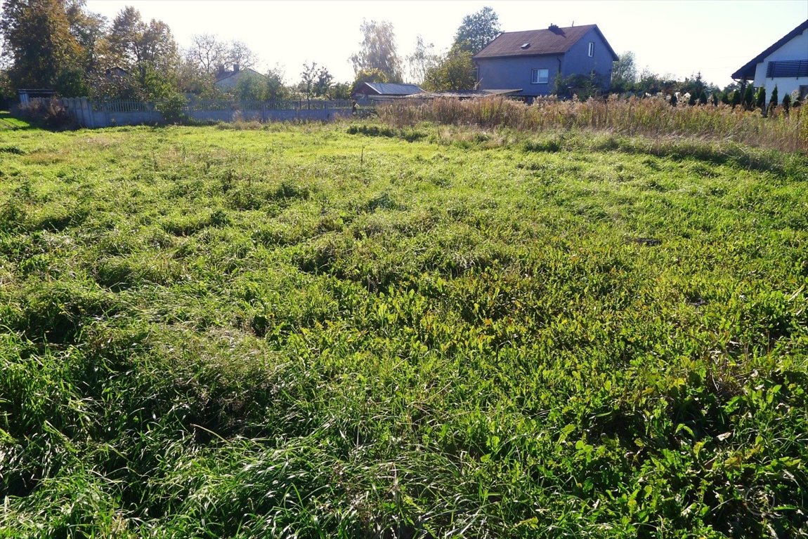 Działka inna na sprzedaż Cedrowice  1 000m2 Foto 5