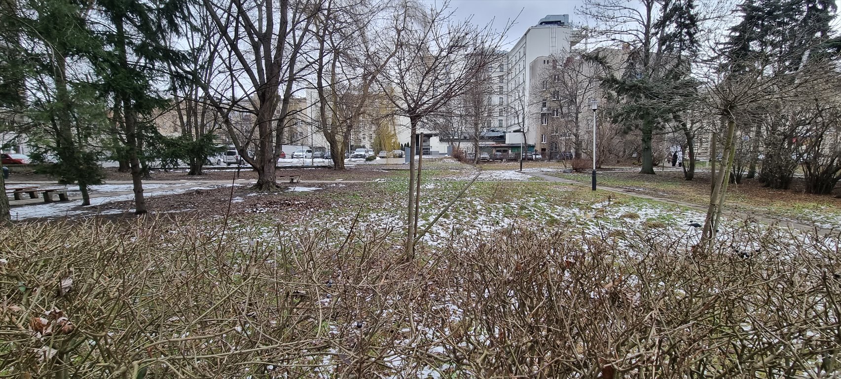 Działka inna na sprzedaż Łódź, Śródmieście, Piotrkowska  2 531m2 Foto 2