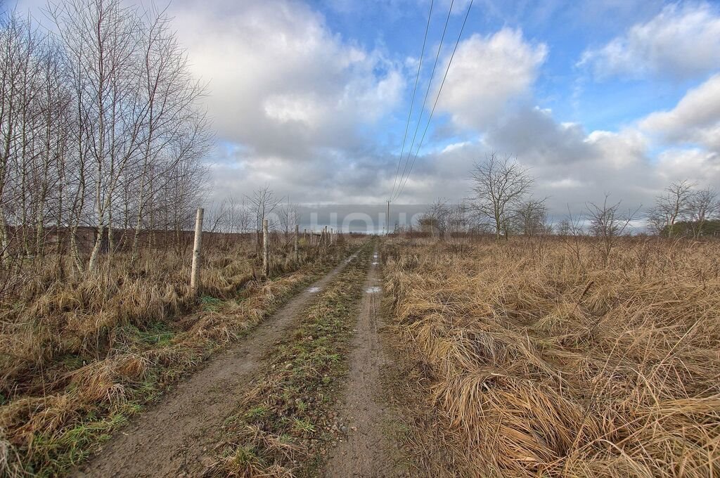 Działka rolna na sprzedaż Wąwelnica  1 191m2 Foto 7