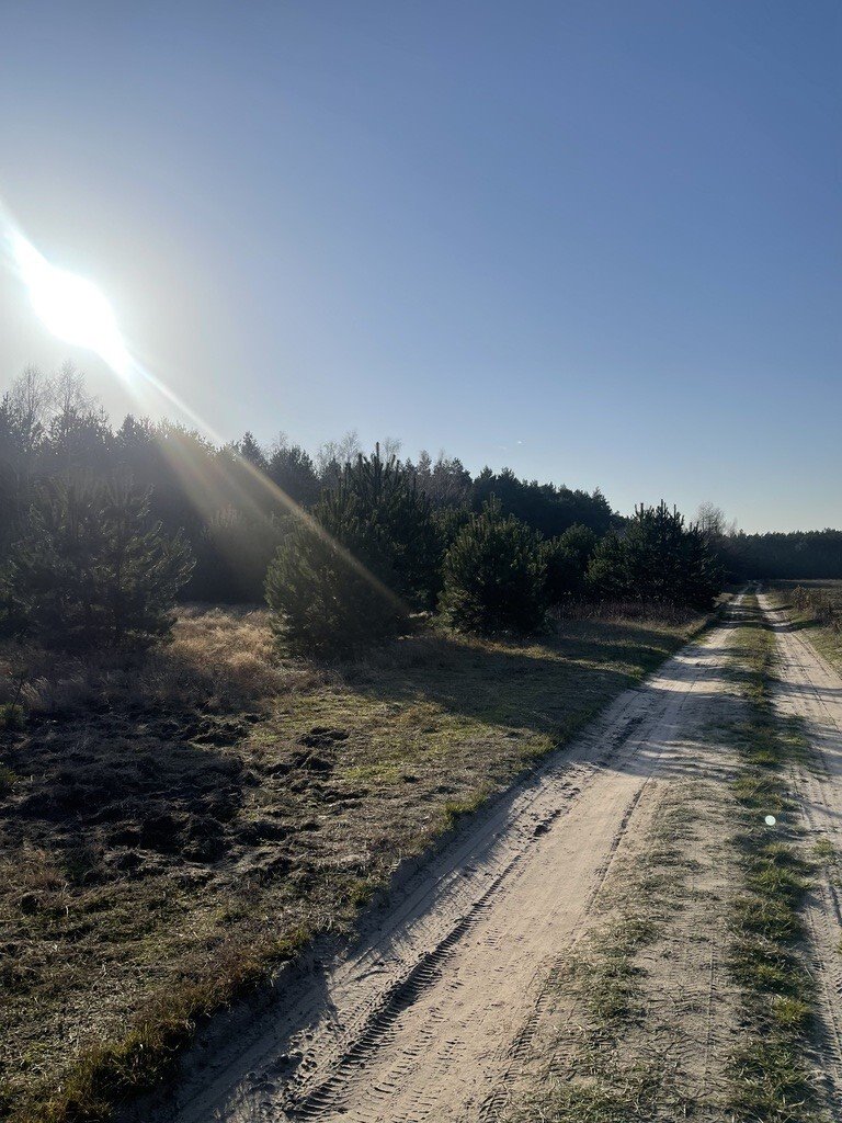 Działka budowlana na sprzedaż Ruda  1 467m2 Foto 6