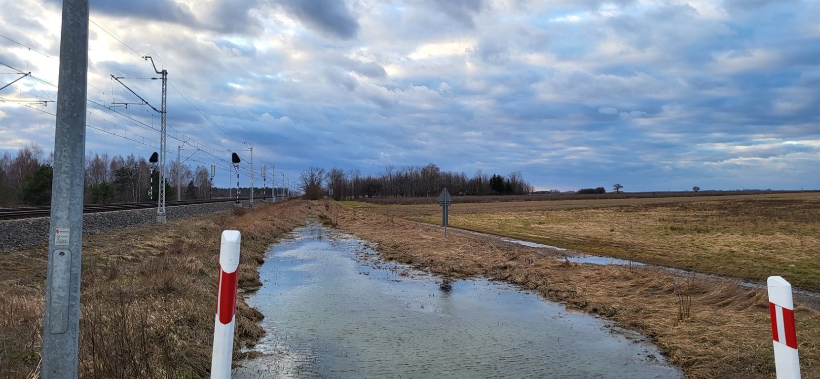 Działka inna na sprzedaż Orchów  8 599m2 Foto 4