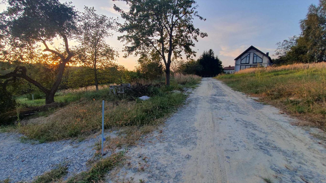 Działka budowlana na sprzedaż Tyczyn  785m2 Foto 5