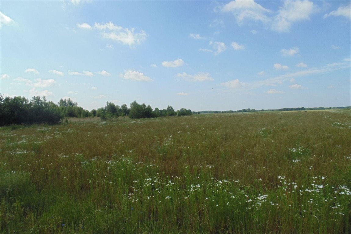 Działka budowlana na sprzedaż Lutomiersk, Szadkowska  1 237m2 Foto 6