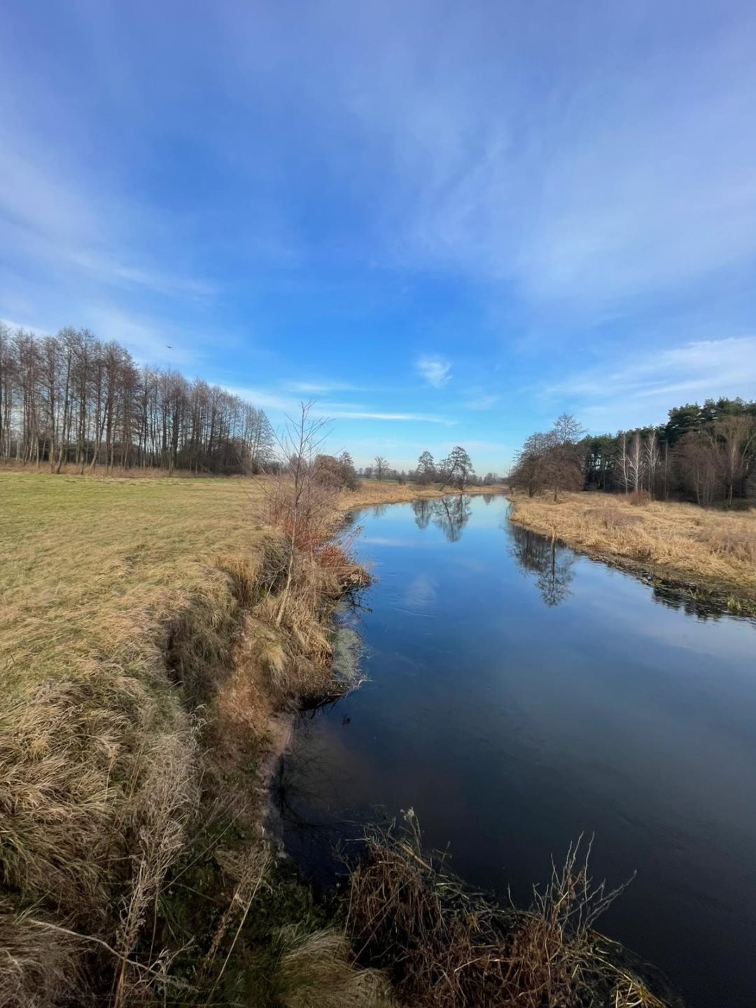 Polecam działkę nad rzeką w Szyjkach 800 m² z możliwością zabudowy Kowalewko, Szyjki  800m2 Foto 1