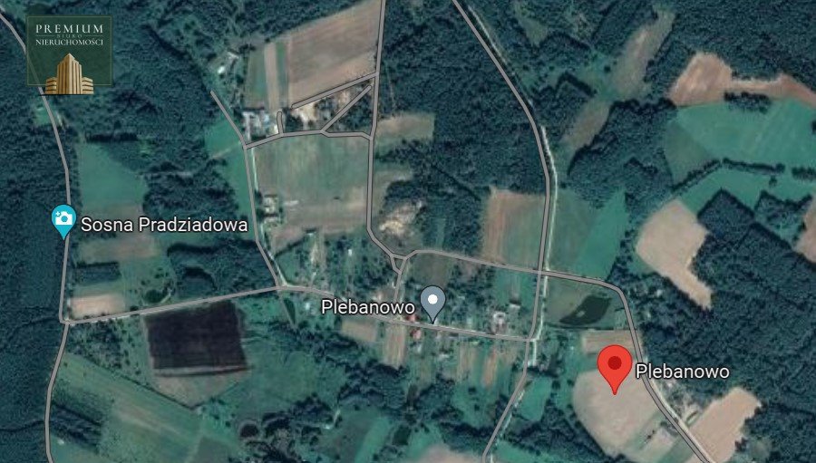 Działka budowlana na sprzedaż Plebanowo  5 700m2 Foto 3