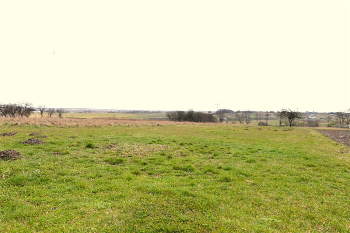 Działka gospodarstwo rolne na sprzedaż Trzebuska  3 200m2 Foto 1