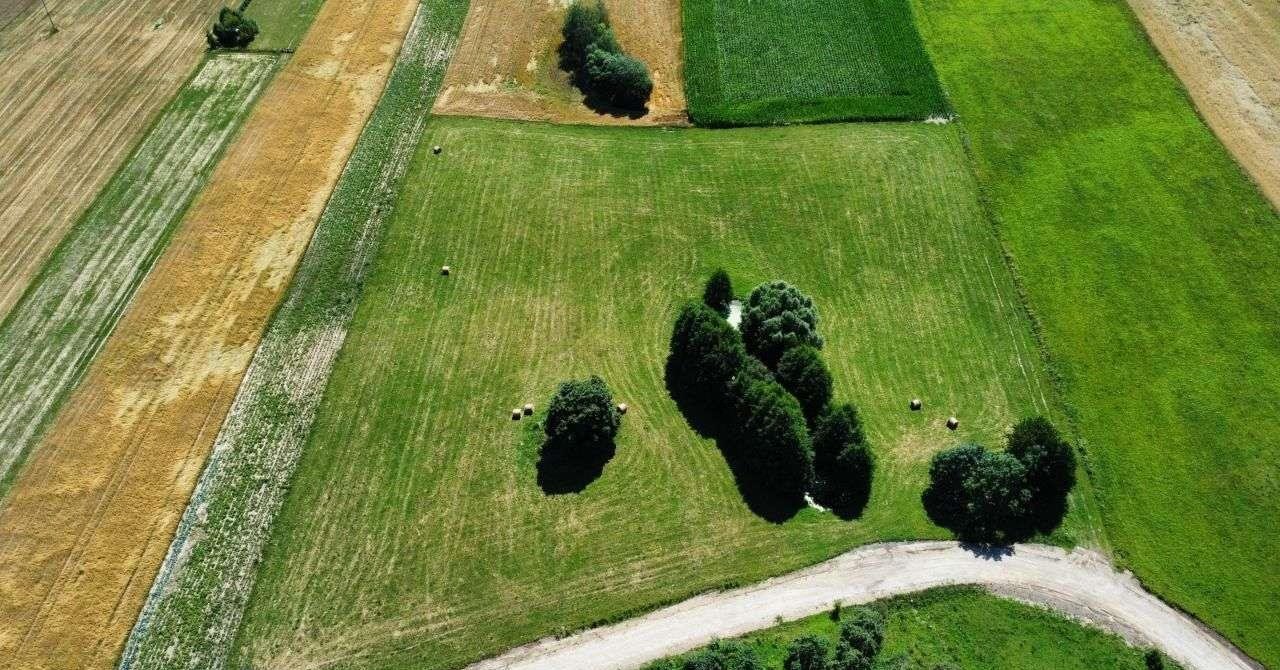 Działka budowlana na sprzedaż Suwałki  1 000m2 Foto 8