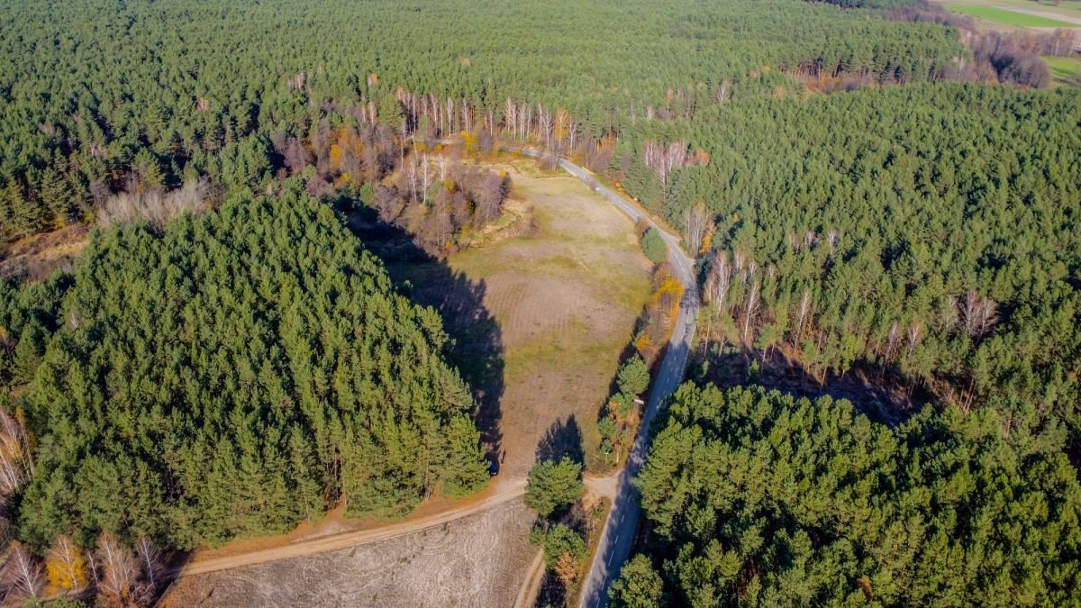 Działka rekreacyjna na sprzedaż Grądy Szlacheckie  15 400m2 Foto 10