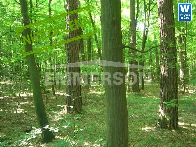 Działka budowlana na sprzedaż Łoś 1 200m2 Foto 1 Działka budowlana na sprzedaż Łoś 1 200m2 Foto 1