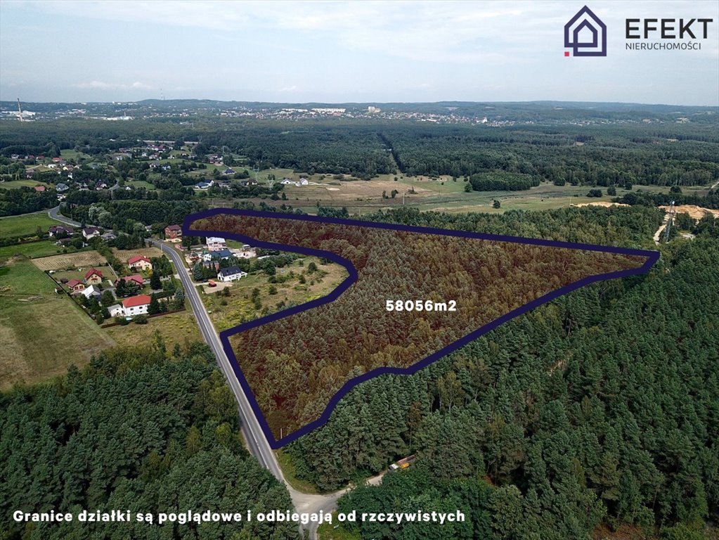 Działka 58 tys. m² z lasem, media, MPZP, inwestycja Piła Kościelecka  58 056m2 Foto 1