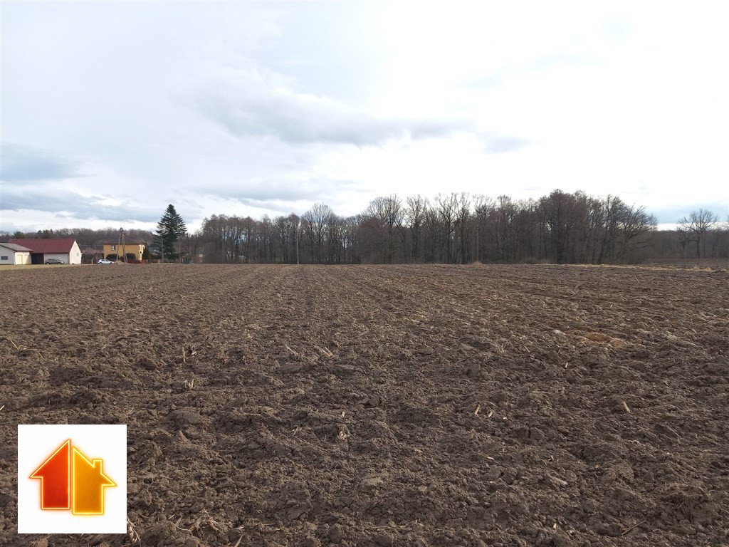 Działka rolna 18 600 m² z lasem, dojazd asfaltowy Pawłowice, Podlesie  18 600m2 Foto 1