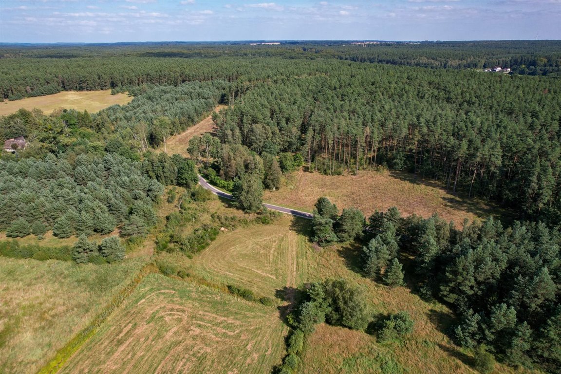 Działka budowlana na sprzedaż Lękwica  3 700m2 Foto 5