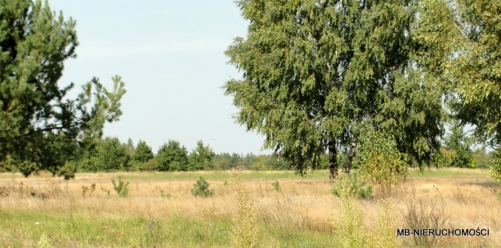 Działka budowlana na sprzedaż Korfowe  1 500m2 Foto 1