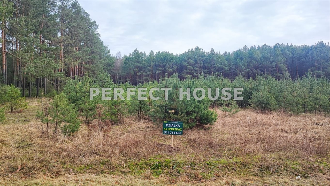 Działka budowlana w Piłce z dostępem do rzeki Miały Piłka, Trzcianecka  1 298m2 Foto 1