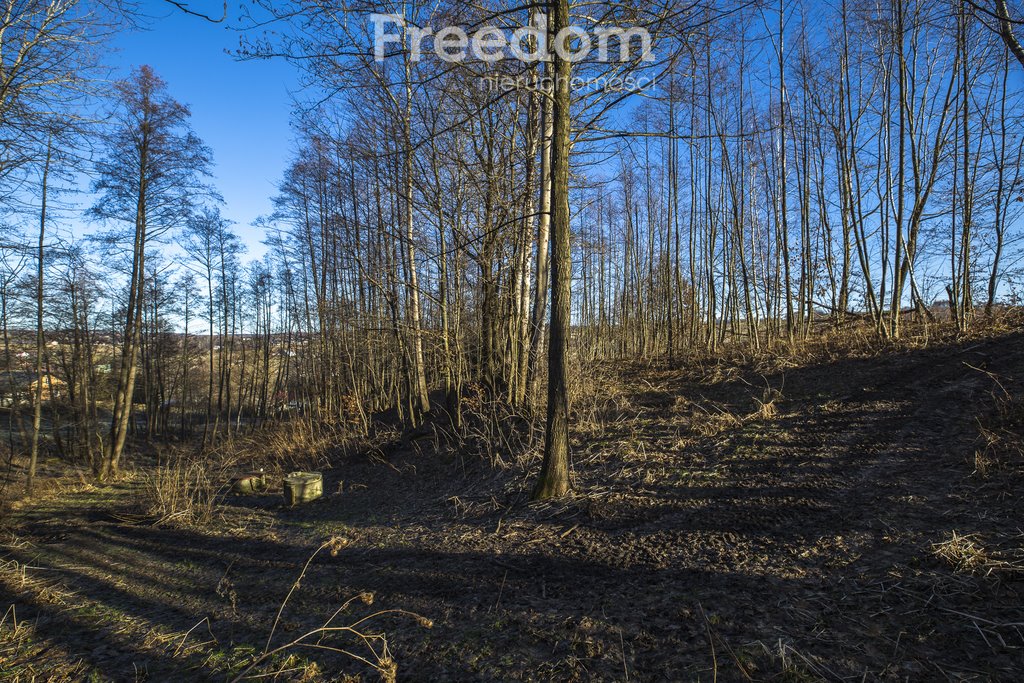 Działka budowlana na sprzedaż Błędowa Tyczyńska  2 238m2 Foto 14