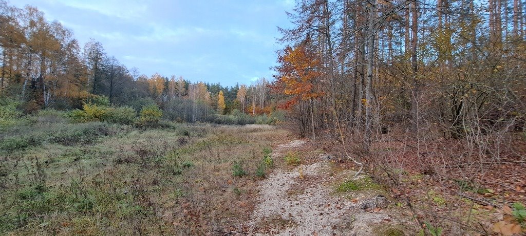 Działka leśna z prawem budowy na sprzedaż Piasutno  40 050m2 Foto 19