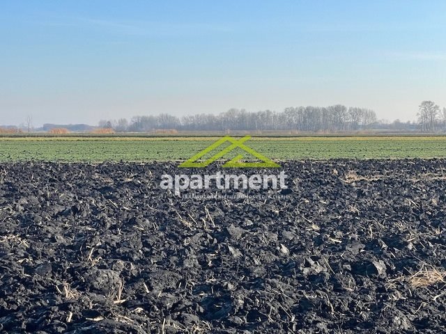 Działka rolna na sprzedaż Sępichów  20 800m2 Foto 6