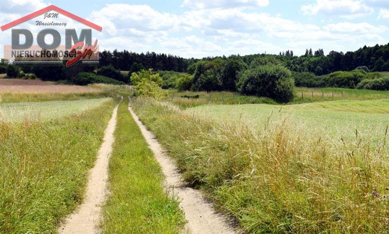 Działka inna na sprzedaż Gudowo  15 600m2 Foto 6