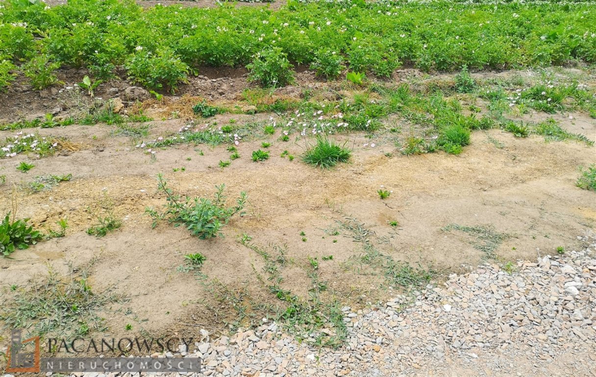 Działka budowlana na sprzedaż Zielonki 900m2 Foto 1 Działka budowlana na sprzedaż Zielonki 900m2 Foto 1