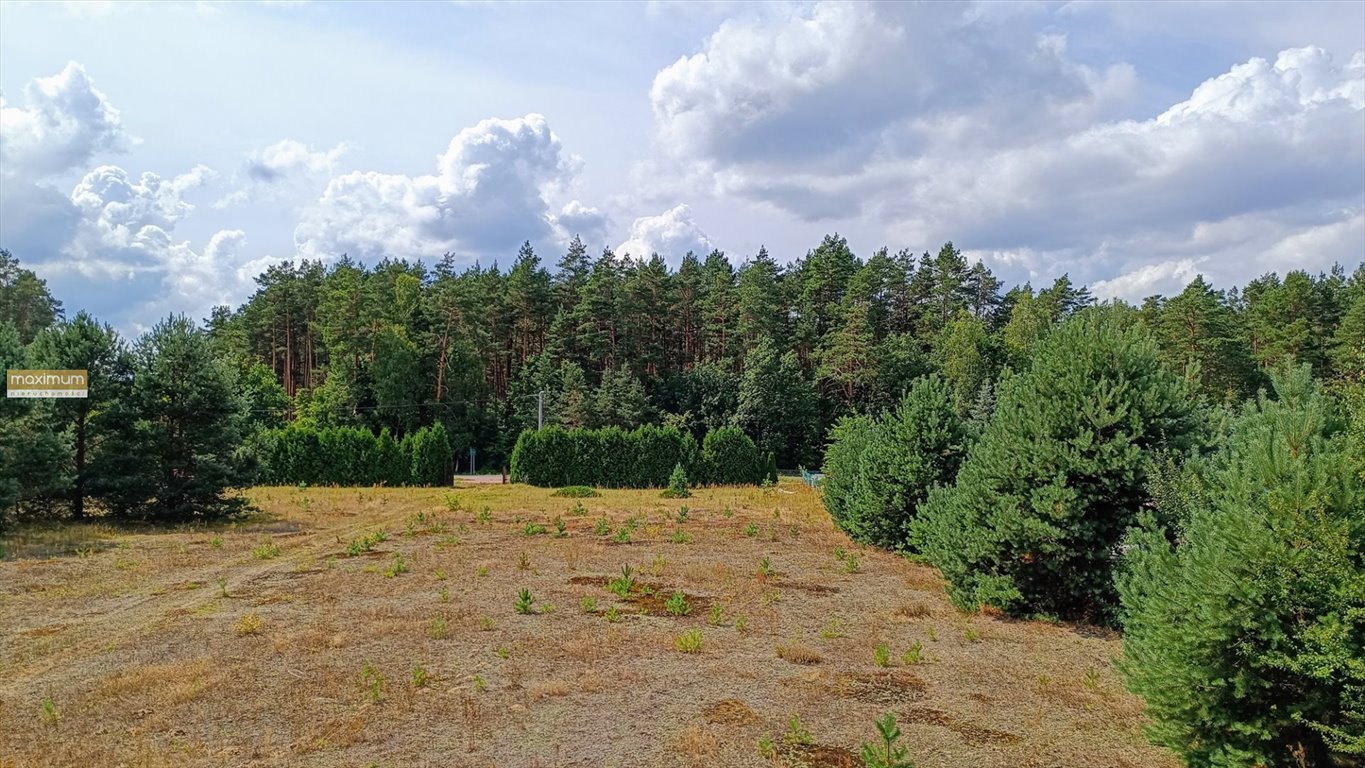 Dom na sprzedaż Karolówka, Niemirów  6 250m2 Foto 4